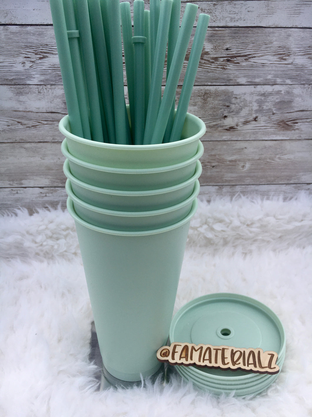 24oz Matte Mint Plastic cups (Set of 5)